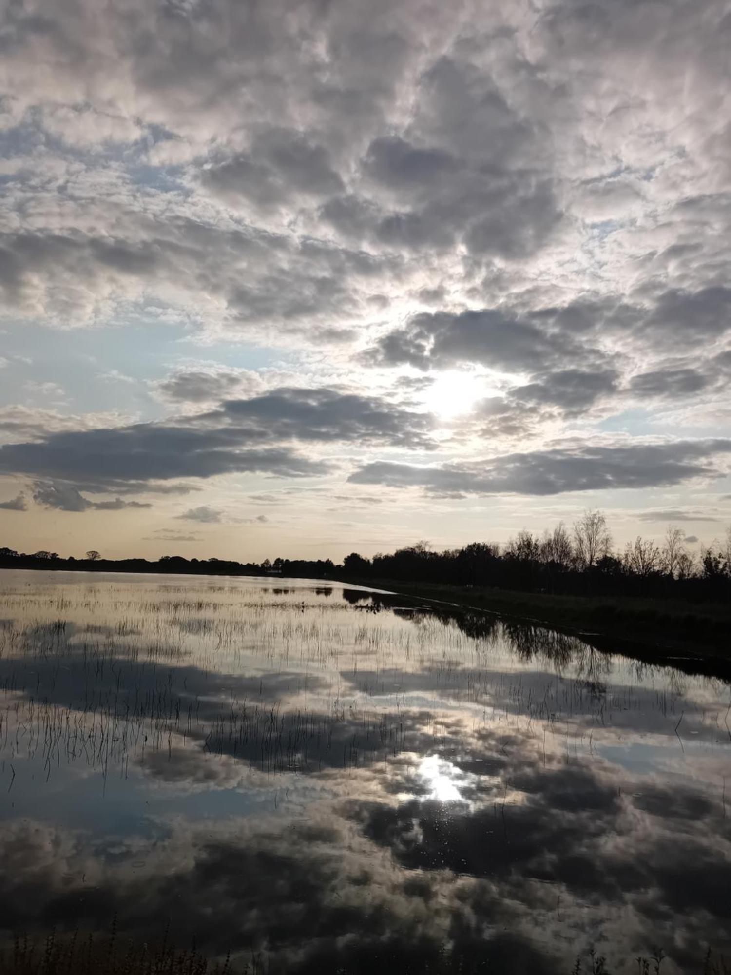 B&B Typisch Lelies Liessel Bagian luar foto